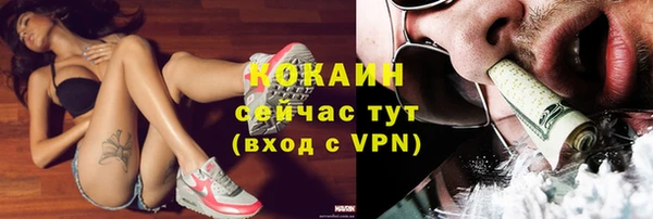 винт Арсеньев