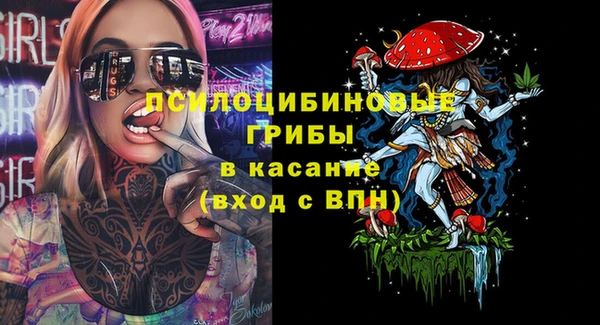 гидропоника Аркадак