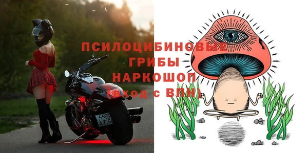 винт Арсеньев
